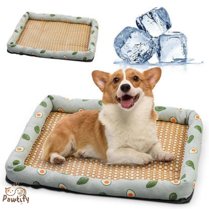 Pawtify™ Cooling PetPad