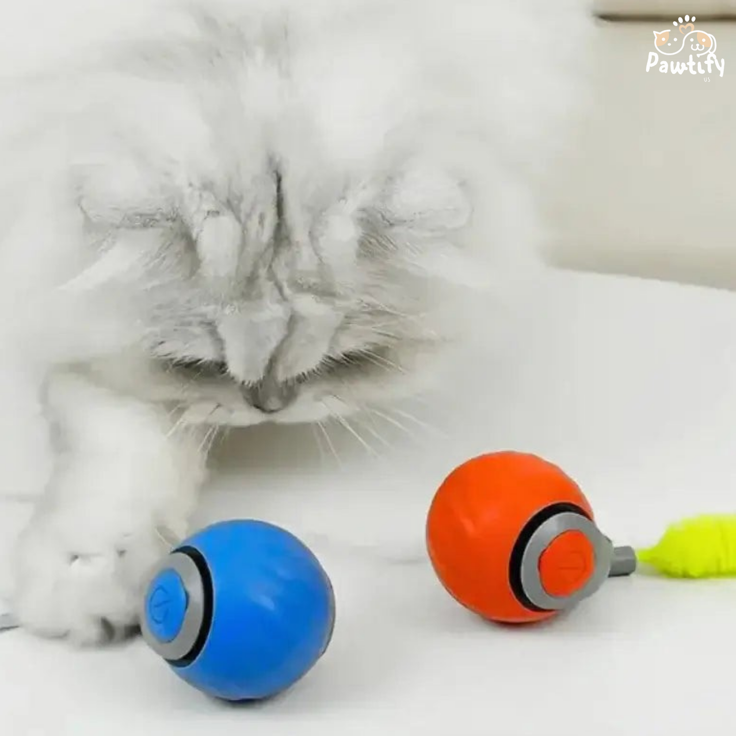 Pawtify HyperBall™ – Smart Motion Pet Toy