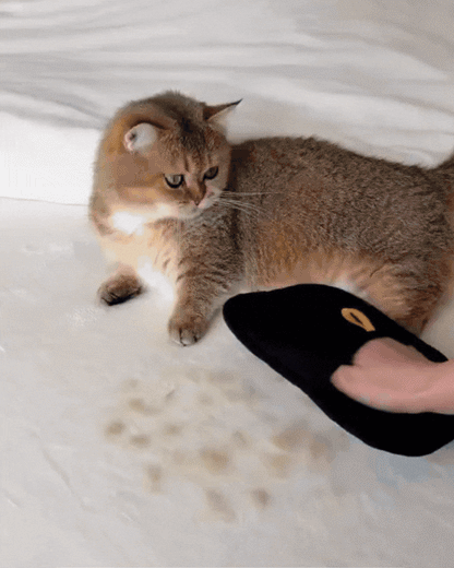 Pawtify™ ShedGlove - Pet hair remover glove